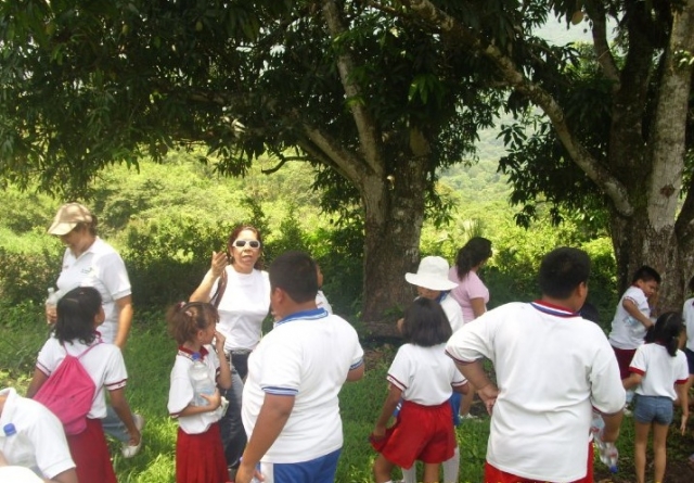 Grupos escolaternera